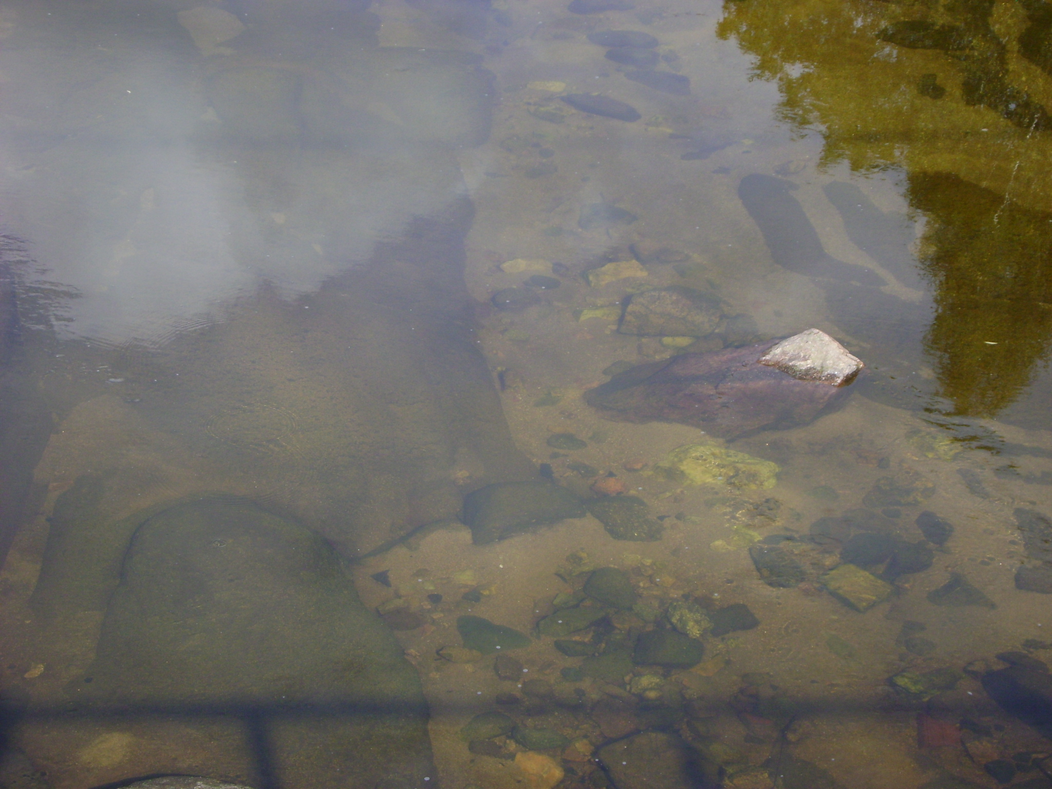 fotos/2011 - Los Reartes/DSC03351.JPG